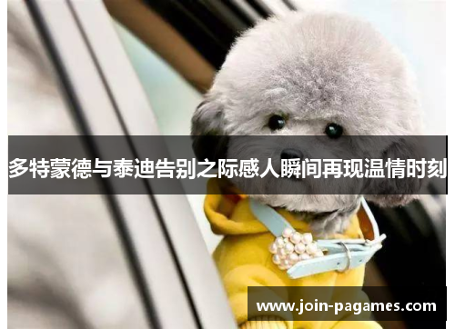 多特蒙德与泰迪告别之际感人瞬间再现温情时刻